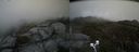 ./images/calvert/buxton2/20200521/buxton220200521_174002M.jpg