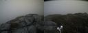 ./images/calvert/buxton2/20200521/buxton220200521_181502M.jpg