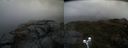 ./images/calvert/buxton2/20200523/buxton220200523_194502M.jpg