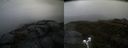 ./images/calvert/buxton2/20200524/buxton220200524_101503M.jpg
