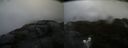 ./images/calvert/buxton2/20200524/buxton220200524_163503M.jpg