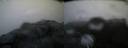 ./images/calvert/buxton2/20200525/buxton220200525_052003M.jpg