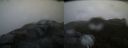 ./images/calvert/buxton2/20200525/buxton220200525_054503M.jpg