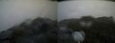 ./images/calvert/buxton2/20200525/buxton220200525_062003M.jpg
