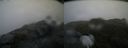 ./images/calvert/buxton2/20200525/buxton220200525_063503M.jpg