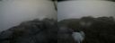 ./images/calvert/buxton2/20200525/buxton220200525_065002M.jpg