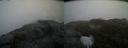 ./images/calvert/buxton2/20200525/buxton220200525_071002M.jpg