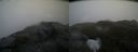 ./images/calvert/buxton2/20200525/buxton220200525_071502M.jpg