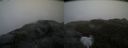 ./images/calvert/buxton2/20200525/buxton220200525_072502M.jpg
