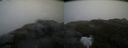 ./images/calvert/buxton2/20200525/buxton220200525_073502M.jpg