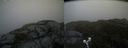 ./images/calvert/buxton2/20200525/buxton220200525_105503M.jpg