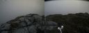 ./images/calvert/buxton2/20200525/buxton220200525_110503M.jpg