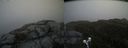 ./images/calvert/buxton2/20200525/buxton220200525_111003M.jpg