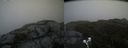 ./images/calvert/buxton2/20200525/buxton220200525_111503M.jpg