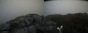 ./images/calvert/buxton2/20200525/buxton220200525_112502M.jpg