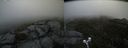 ./images/calvert/buxton2/20200525/buxton220200525_181502M.jpg