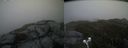 ./images/calvert/buxton2/20200525/buxton220200525_202003M.jpg