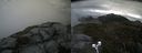 ./images/calvert/buxton2/20200528/buxton220200528_122002M.jpg