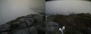 ./images/calvert/buxton2/20200528/buxton220200528_195503M.jpg