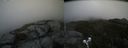 ./images/calvert/buxton2/20200530/buxton220200530_101502M.jpg