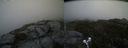 ./images/calvert/buxton2/20200530/buxton220200530_102502M.jpg