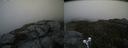 ./images/calvert/buxton2/20200530/buxton220200530_103503M.jpg