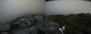 ./images/calvert/buxton2/20200530/buxton220200530_104003M.jpg