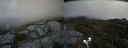./images/calvert/buxton2/20200530/buxton220200530_105003M.jpg