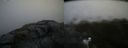 ./images/calvert/buxton2/20200603/buxton220200603_195503M.jpg