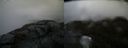 ./images/calvert/buxton2/20200603/buxton220200603_200503M.jpg
