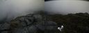 ./images/calvert/buxton2/20200604/buxton220200604_083502M.jpg