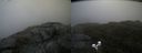 ./images/calvert/buxton2/20200604/buxton220200604_085002M.jpg