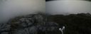 ./images/calvert/buxton2/20200604/buxton220200604_100003M.jpg
