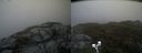 ./images/calvert/buxton2/20200604/buxton220200604_101503M.jpg