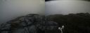 ./images/calvert/buxton2/20200604/buxton220200604_104003M.jpg