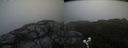 ./images/calvert/buxton2/20200604/buxton220200604_104503M.jpg