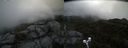 ./images/calvert/buxton2/20200604/buxton220200604_105003M.jpg