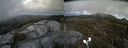 ./images/calvert/buxton2/20200605/buxton220200605_165503M.jpg