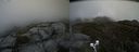 ./images/calvert/buxton2/20200605/buxton220200605_175002M.jpg
