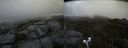 ./images/calvert/buxton2/20200605/buxton220200605_180002M.jpg