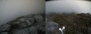 ./images/calvert/buxton2/20200605/buxton220200605_191002M.jpg