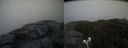 ./images/calvert/buxton2/20200605/buxton220200605_211002M.jpg