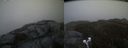 ./images/calvert/buxton2/20200605/buxton220200605_214002M.jpg