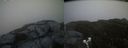 ./images/calvert/buxton2/20200606/buxton220200606_205502M.jpg