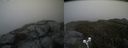 ./images/calvert/buxton2/20200607/buxton220200607_085503M.jpg