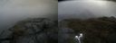 ./images/calvert/buxton2/20200609/buxton220200609_142503M.jpg