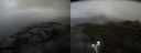 ./images/calvert/buxton2/20200609/buxton220200609_171003M.jpg