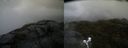 ./images/calvert/buxton2/20200609/buxton220200609_202503M.jpg