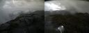 ./images/calvert/buxton2/20200610/buxton220200610_112502M.jpg