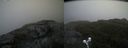 ./images/calvert/buxton2/20200610/buxton220200610_164502M.jpg